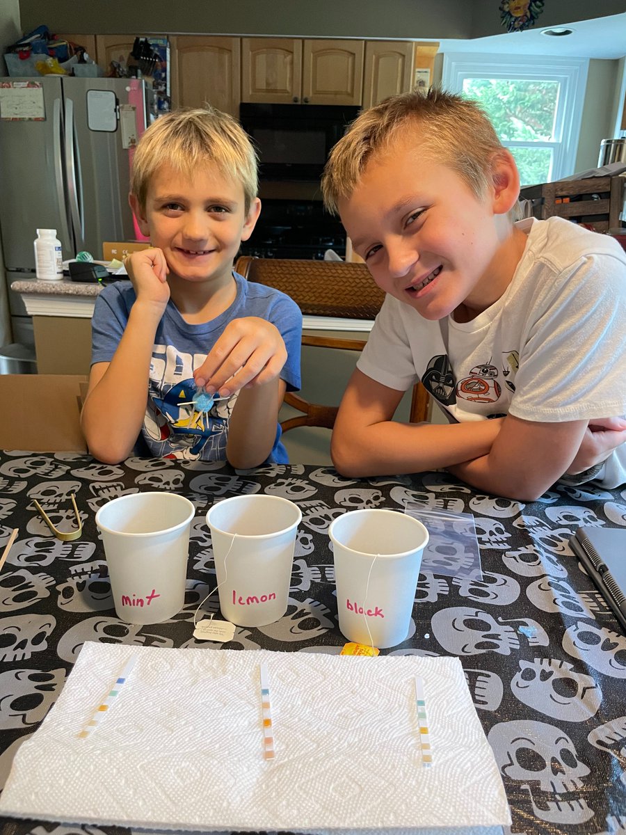 SmithsonianEnv's tweet photo. Saturday, 11am ET: Build a marsh in your kitchen w/ playdough & tea bags, at our last #ScienceToGo! Grab a free science kit from your local @aacpl or @prattlibrary, and do the activities in a live webinar w/ ecologist Dr. Genevieve Noyce. (📷Penny Benson) https://t.co/gq8eK2XeBZ https://t.co/vBMdf2DXZ1