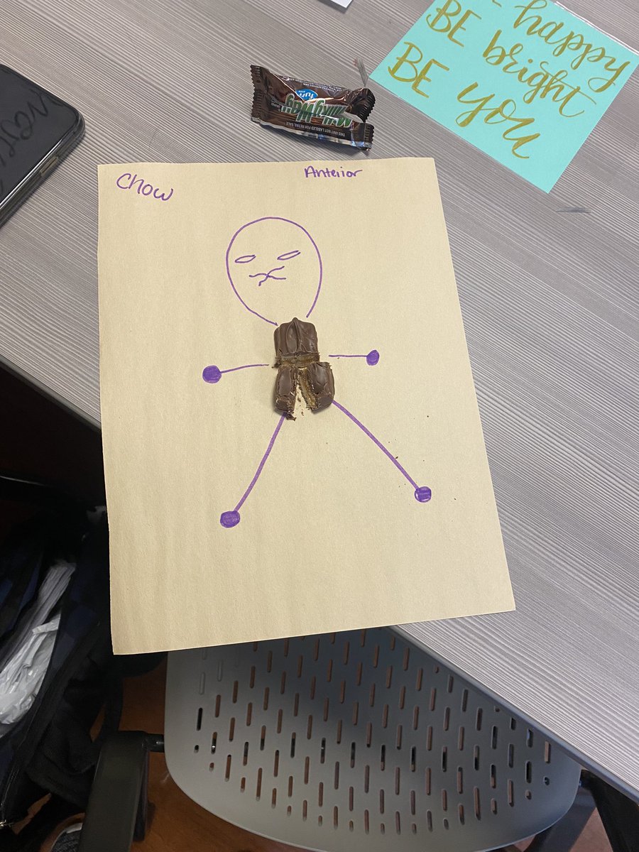 MPenningtonRRT's tweet photo. Reviewing planes of dissection and analyzing layers with candy bars https://t.co/y8ctdTrzed