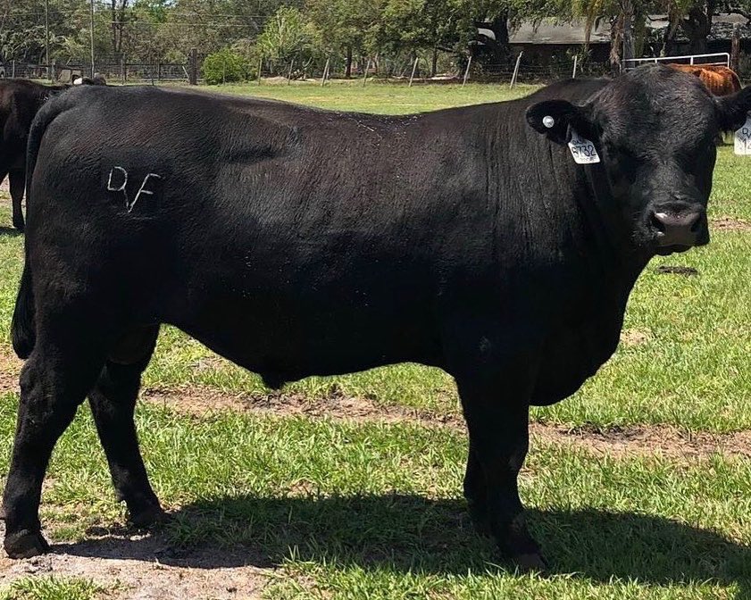 Quan Lee tweet media