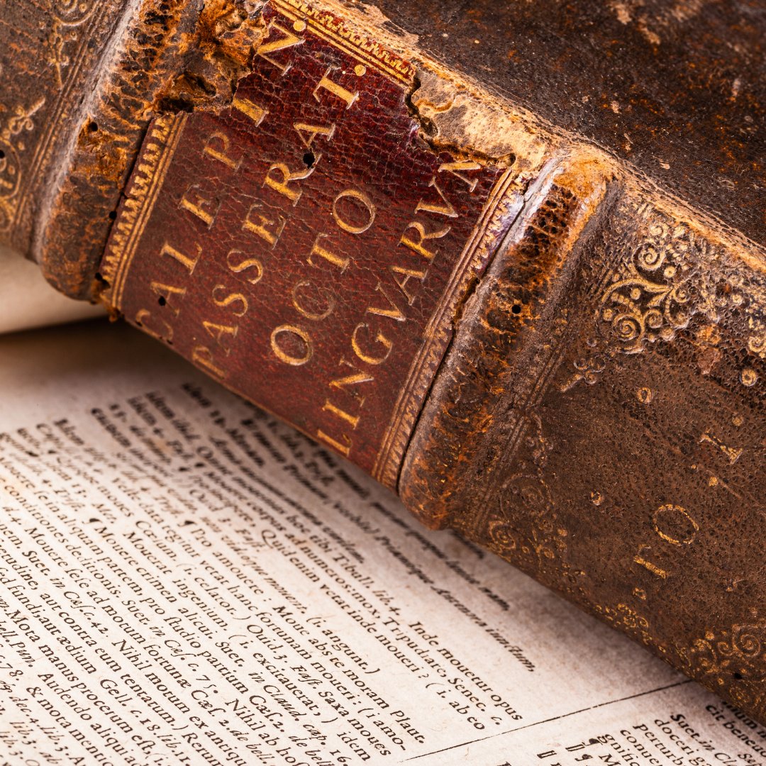 Did you know, the English word 'cheese', the Spanish 'queso', German 'kaese' and a few other cheese words, can all be traced to the Latin word for cheese, caseus?

#FactFriday #Laythams #cheese #BritishCheese #FoodandDrink