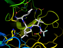 thinkasachemist's tweet photo. Pfizer's new antiviral medication Paxlovid is a triumph of drug design and synthetic organic chemistry. Pavloxid (small "white" molecule at the centre of image) works by binding with coronaviral protease, preventing the latter's action in the replication of the virus. https://t.co/IflU96PHMd