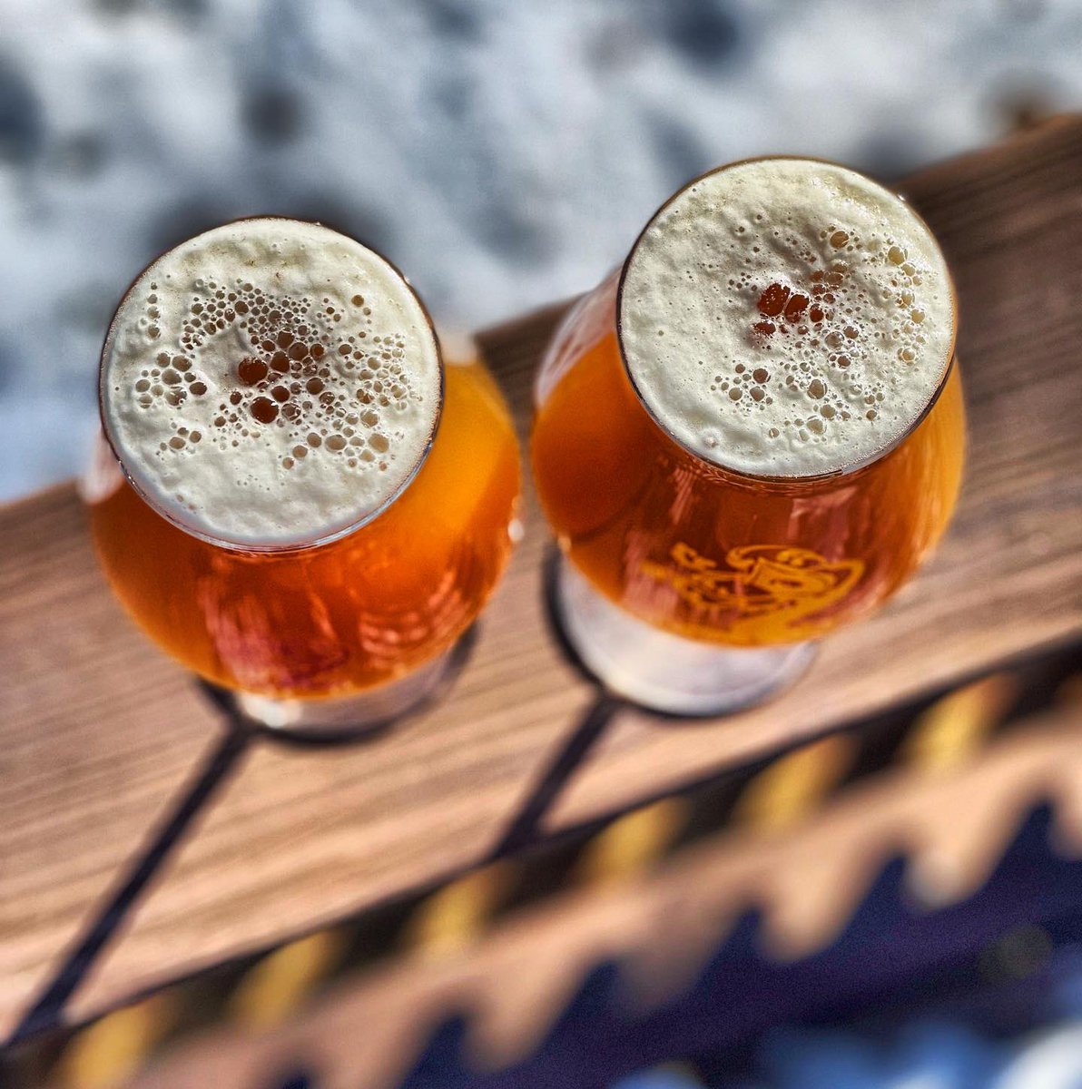 PilicyBeer's tweet photo. @TreeHouseBrewCo #beer #craftbeer #ipa #ilovebeer #beertography https://t.co/70Bx3Qql2s
