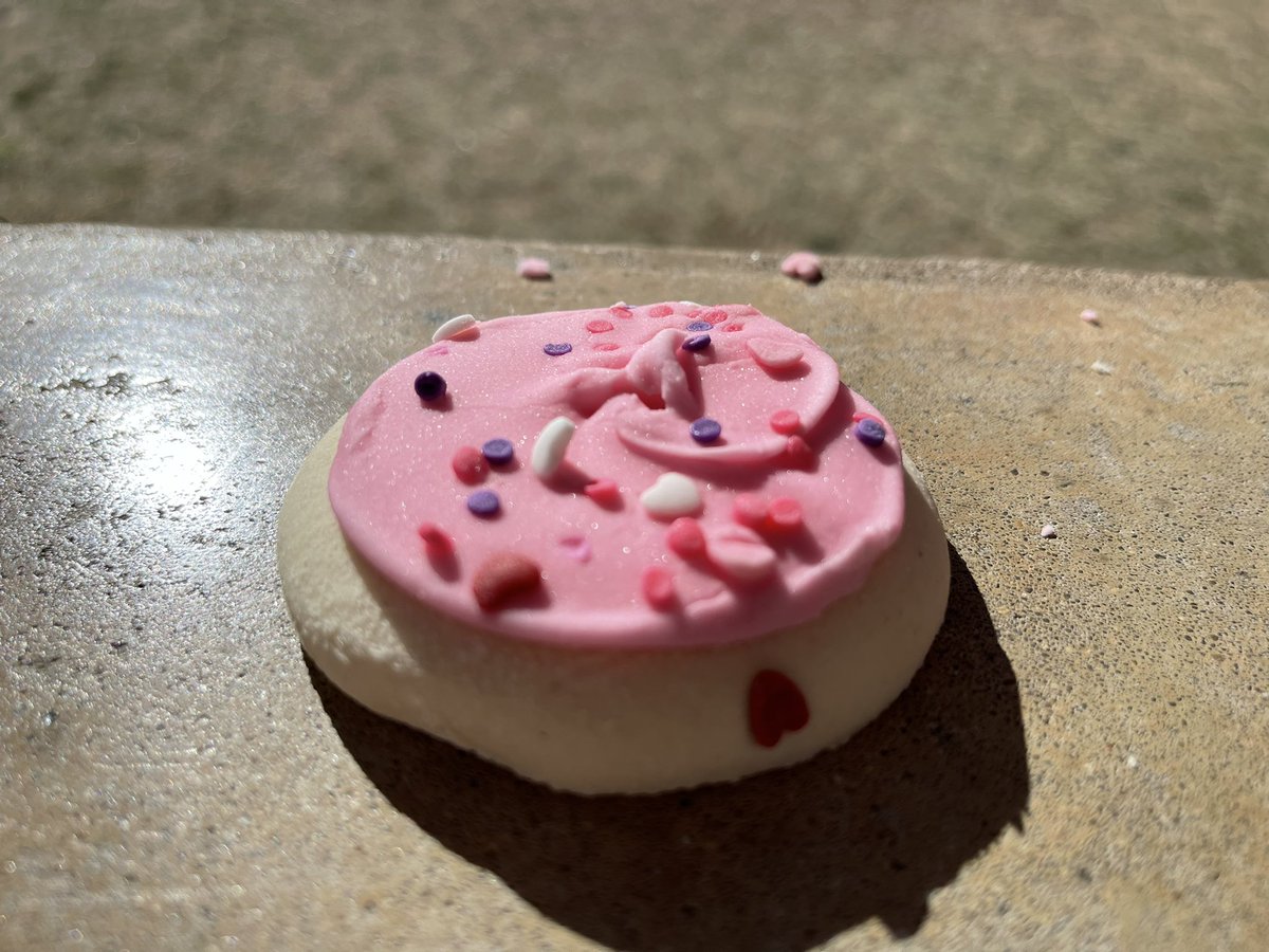 Our class got to vote on Tuesday.  A majority of them were correct, I’m having a girl! They were just as excited about me telling them as they were about the cookie 😂