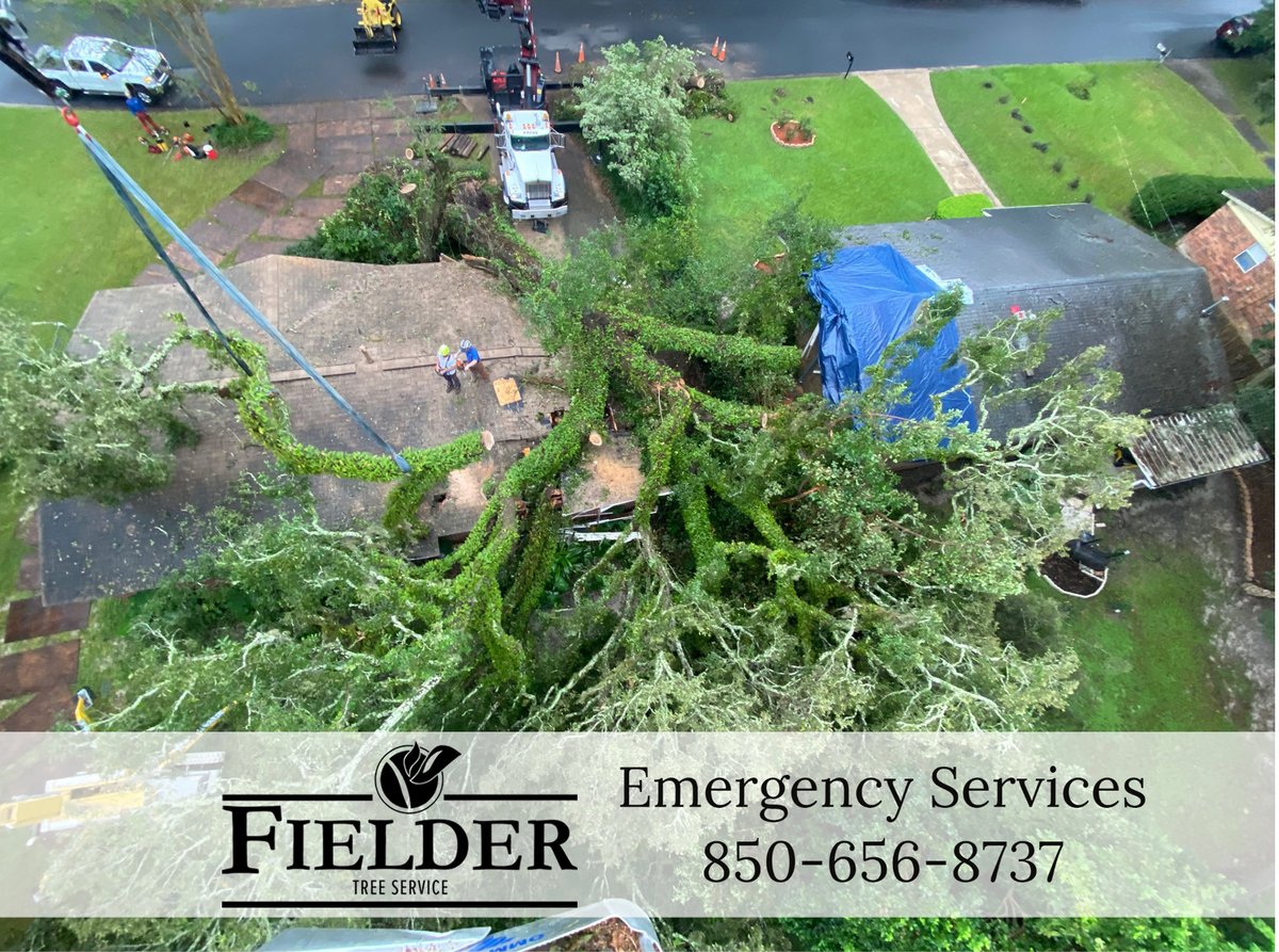 FielderTree's tweet image. Call 850-656-8737 to reach our 24-hour emergency services line for hazardous and storm related damages!

#OneTeamOneFamily #EmergencyTreeWork #StormDamages #TreeRemoval #Storm #TallahasseeFL