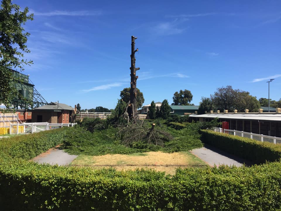 Turf Deli tweet media