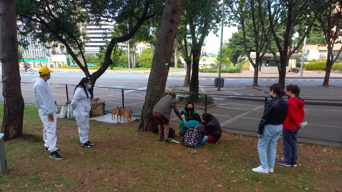 AnimalesBOG's tweet photo. Hoy en #HuellitasDeLaCalle queremos contarte la historia de Blanca. Una mujer habitante de calle que tiene bajo su custodia 16 animales de compañía, dentro de los que hay cinco adultos y 11 cachorros que ya fueron valorados por nuestras brigadas medicas. https://t.co/UAarraUcND