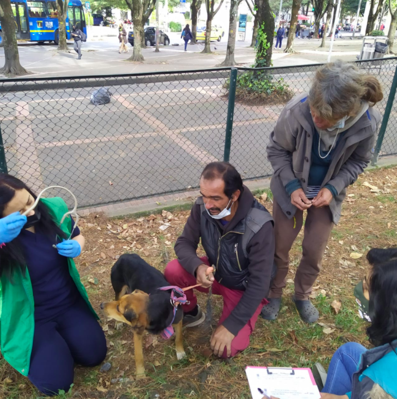 AnimalesBOG's tweet photo. Hoy en #HuellitasDeLaCalle queremos contarte la historia de Blanca. Una mujer habitante de calle que tiene bajo su custodia 16 animales de compañía, dentro de los que hay cinco adultos y 11 cachorros que ya fueron valorados por nuestras brigadas medicas. https://t.co/UAarraUcND