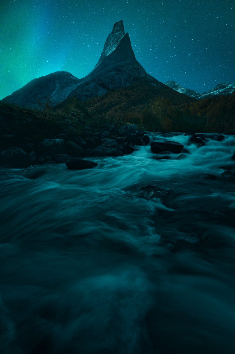 Jillian Høiberg tweet media