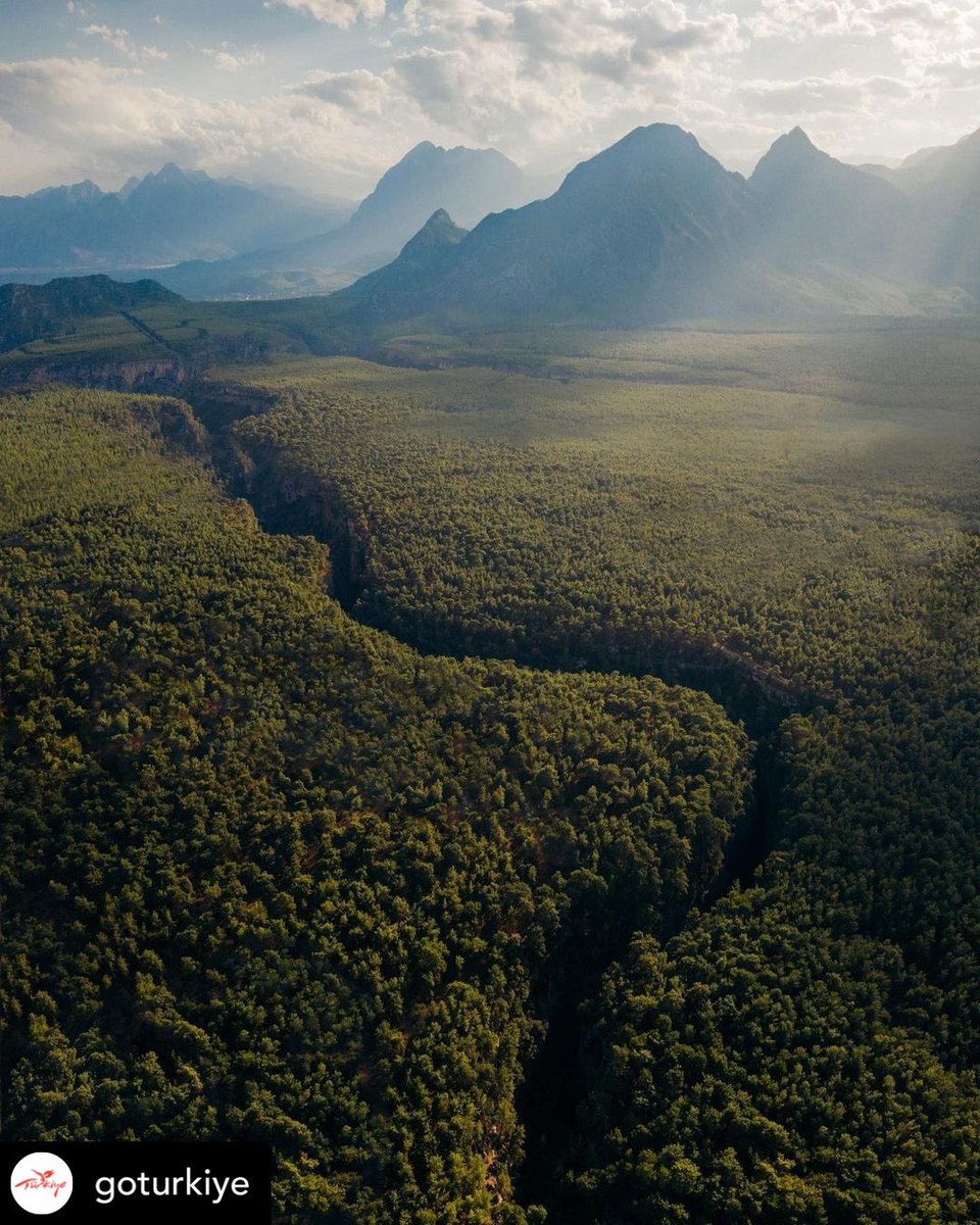 TurkeyExplores's tweet image. The picturesque shores, a perfectly tranquil atmosphere of the neighbouring hills and forests, and a relaxing, peaceful environment down on the beaches. All there, all waiting for you in the #Mediterranean Region

📸 @emmett_sparling

#GoTürkiye #GoAntalya #Antalya #Beach #Hills