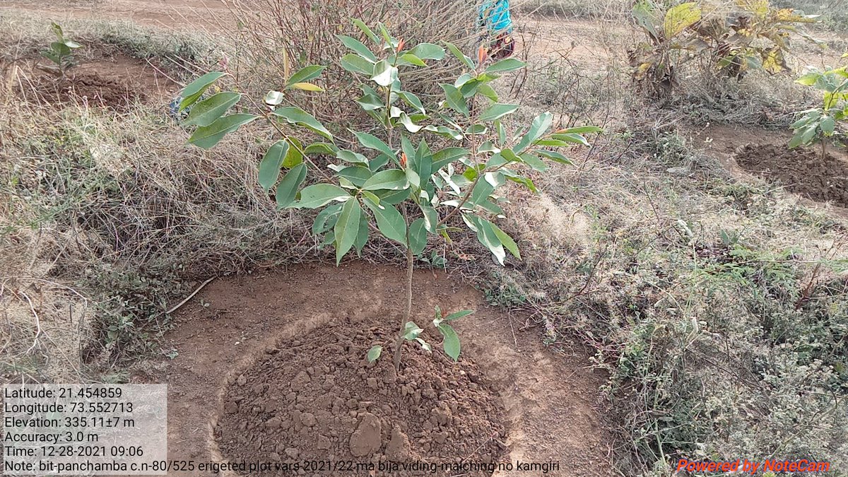 Maheshbhai shankarbhai patel tweet media