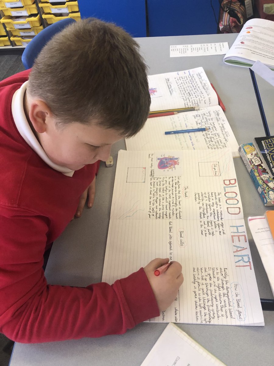 McoakMrs's tweet photo. We are loving our explanation writing inspired by our #BloodHeart topic @Cornerstonesedu 
#lovewriting @olos_armthorpe https://t.co/7IXpbDxWHj