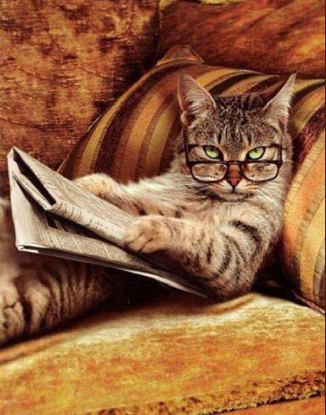 CollinJosh3's tweet photo. @powerfmuganda Apprentice Michelle got me like: 🔥 https://t.co/lpDRfXrVwU