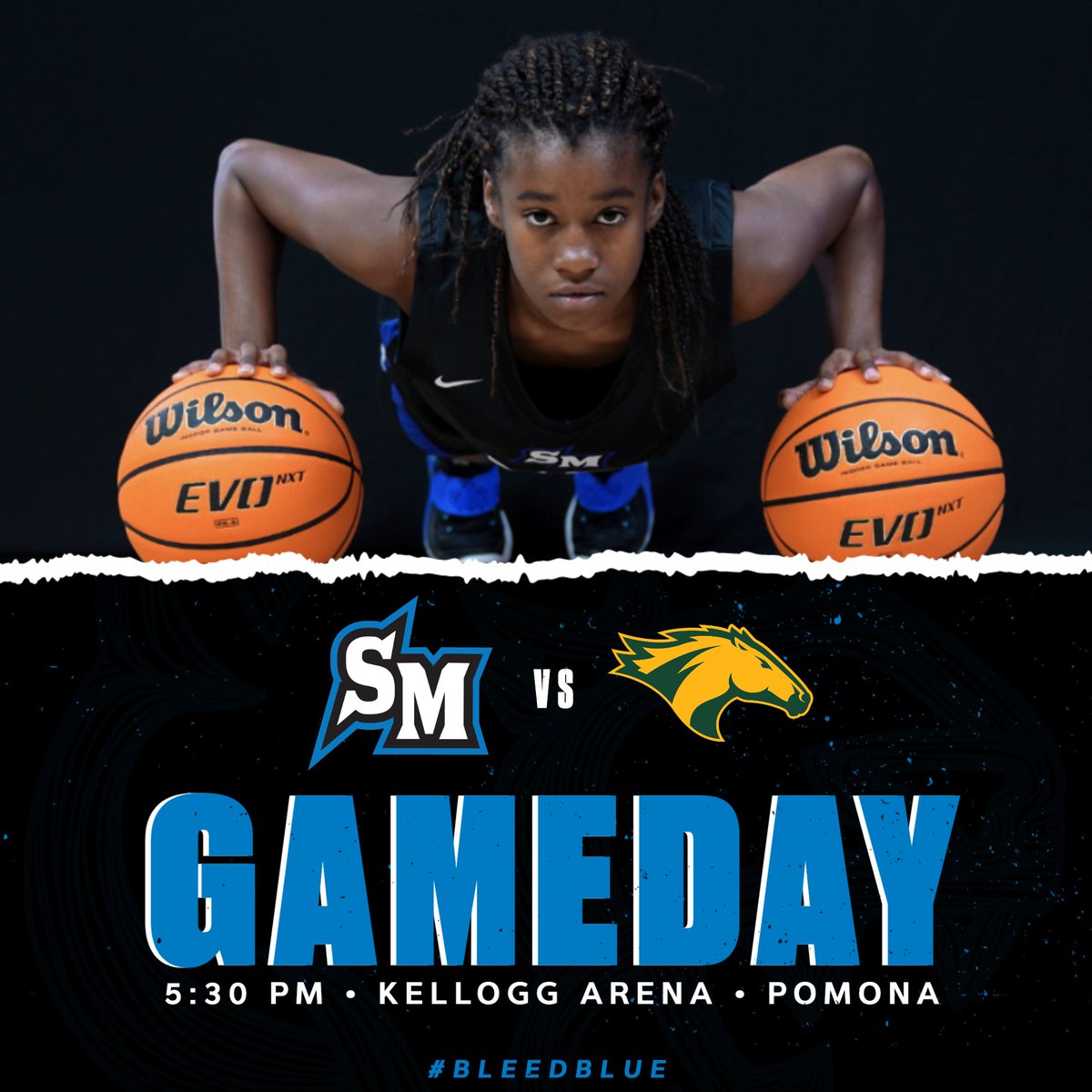 CSUSM Women's Basketball tweet media
