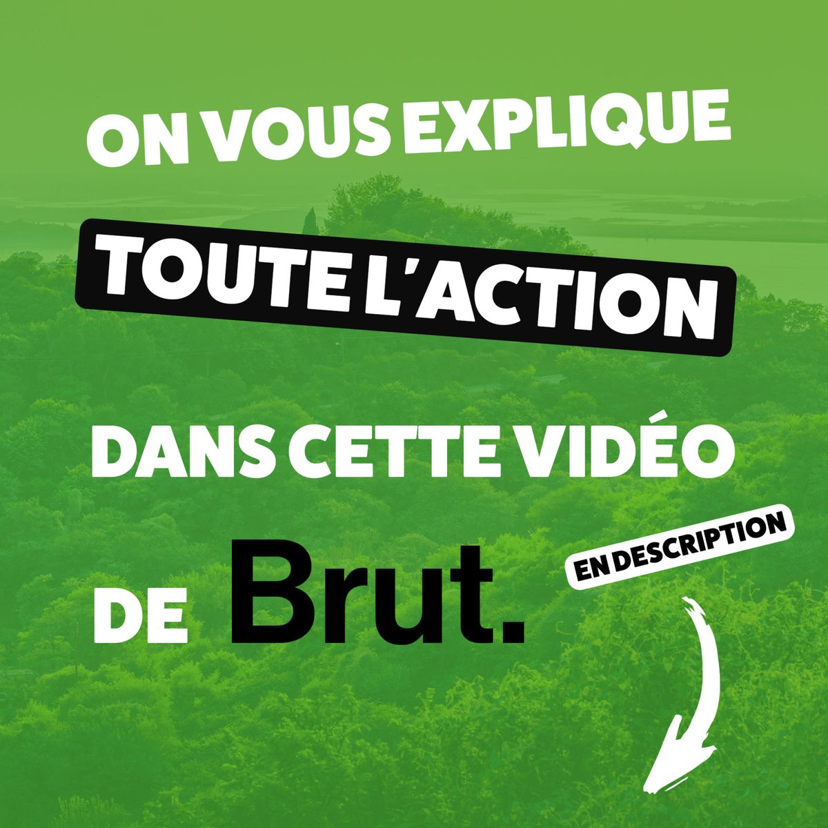VOS CHEVEUX PARTICIPENT À LA CRÉATION DE FORÊTS ! 🌳

Denier exemple en date, l'action menée par Le groupe La poste et Cagefor où 1000 arbres ont été plantés puis paillés par vos cheveux ! 🌳

Le média Brut. vous explique tout juste ici 👇
swll.to/z8vZs