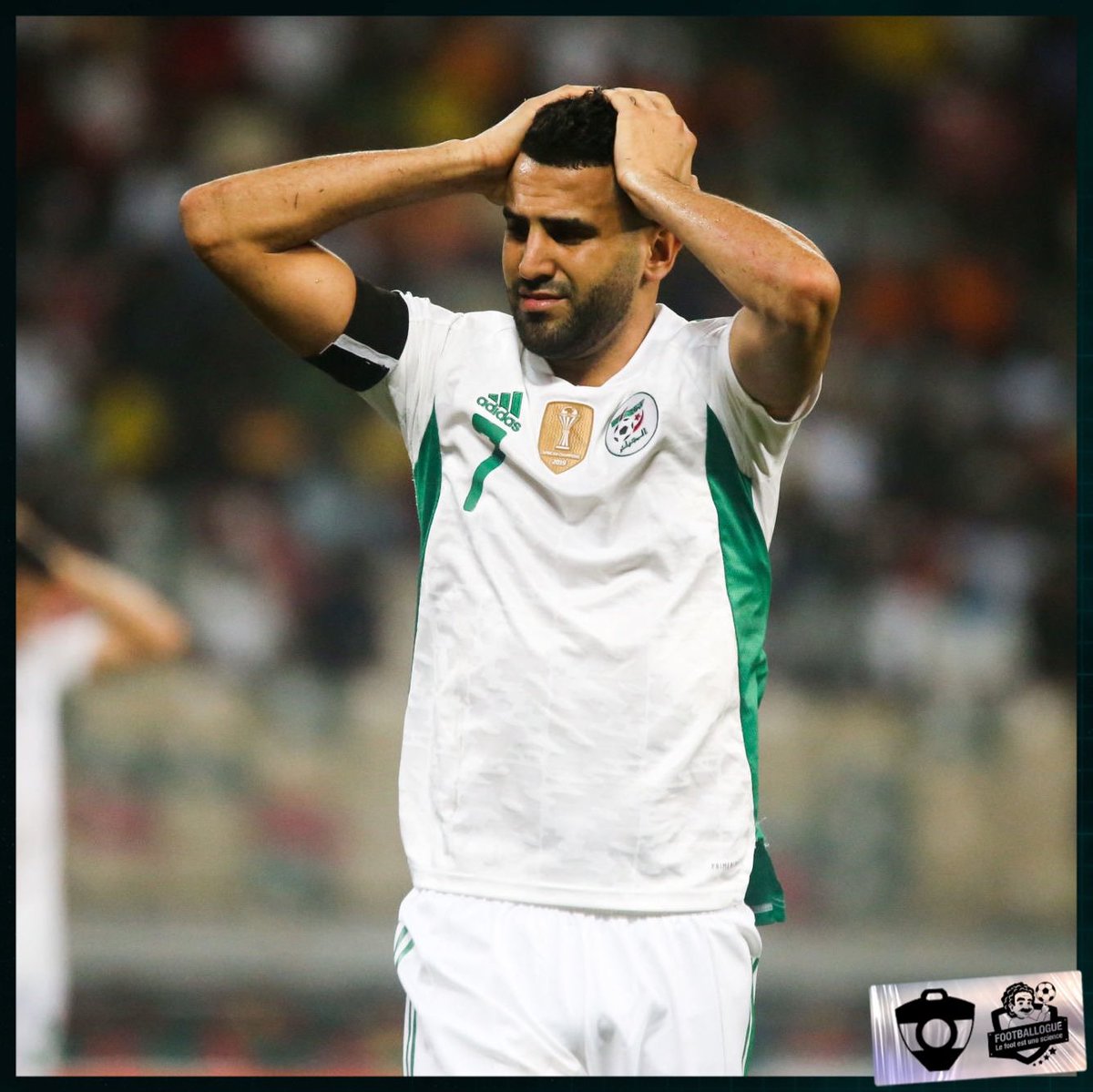 Footballogue's tweet photo. [#CAN2021] ❌ L’ALGÉRIE EST ÉLIMINÉE ! https://t.co/r0jbA5MFEb