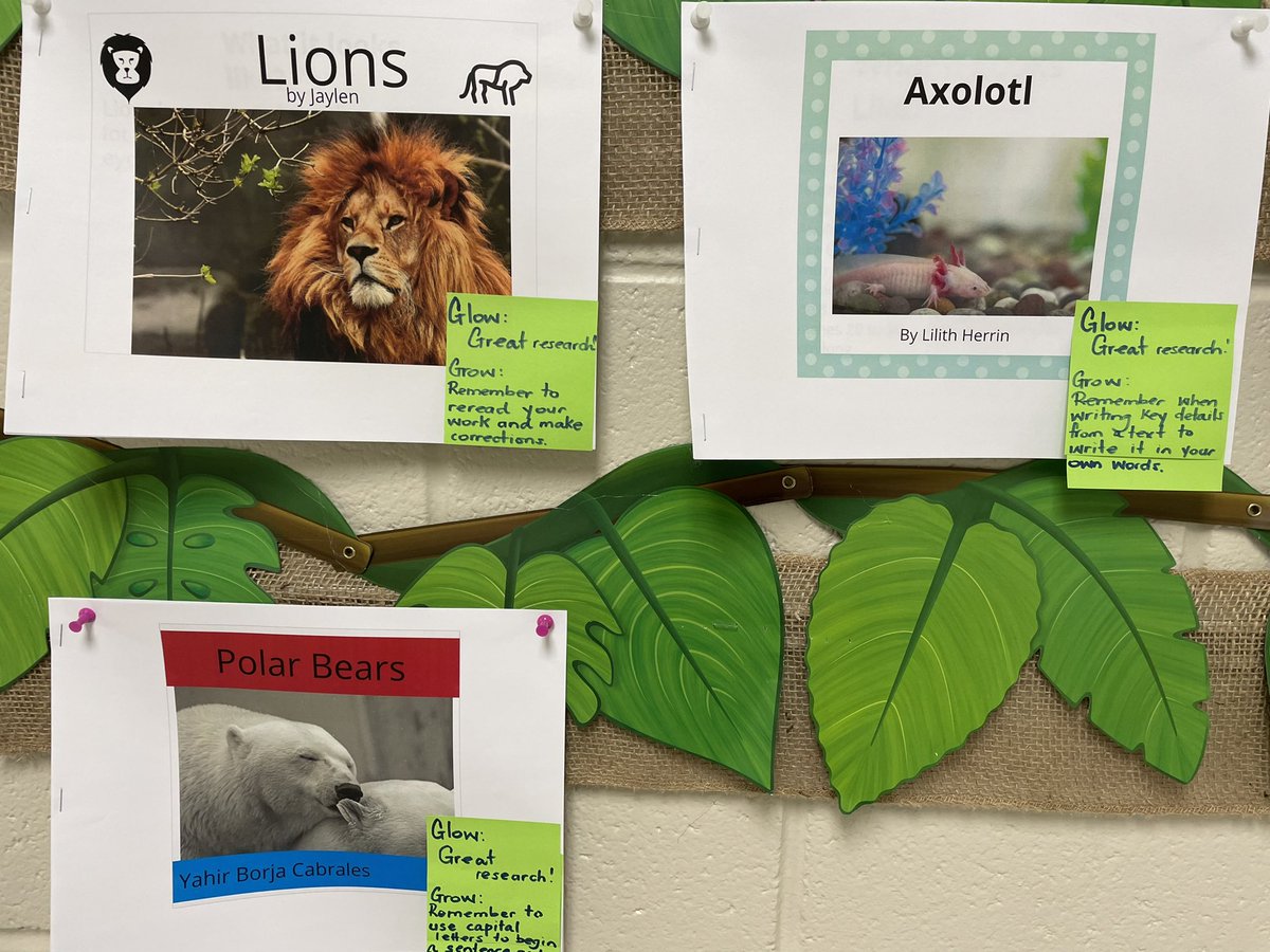 TerayeLaw's tweet photo. 💚Ms. Palmer’s 2nd graders @SSE_NEWTON are SO excited about the Animal Research books they wrote in @BookCreatorApp!! 🔥They can’t wait to do more writing!  #ncssbethebest #ncsst4t #StarTechDLC https://t.co/Uxy9PK38E1