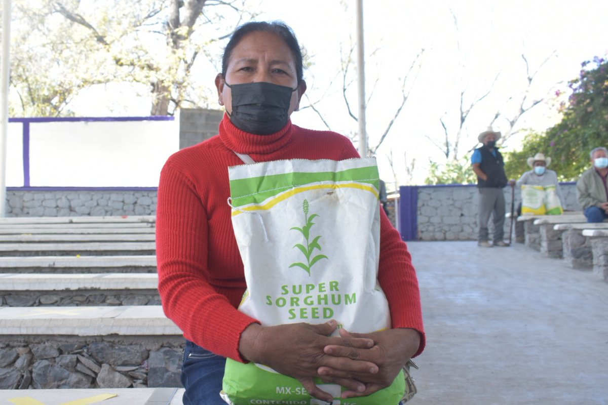 RuralTam_mx's tweet photo. María Lidia Contreras, del ej Rancho Nuevo del municipio de Jaumave enfrentará la escasez de alimento para ganado sembrado super sorgo.
Con esta opción de forraje con grandes cantidades de nutrientes digeribles, alimentará a su ganado bovino y caprino.
#RuralTam
#TamCrece https://t.co/iyI55KyEc3