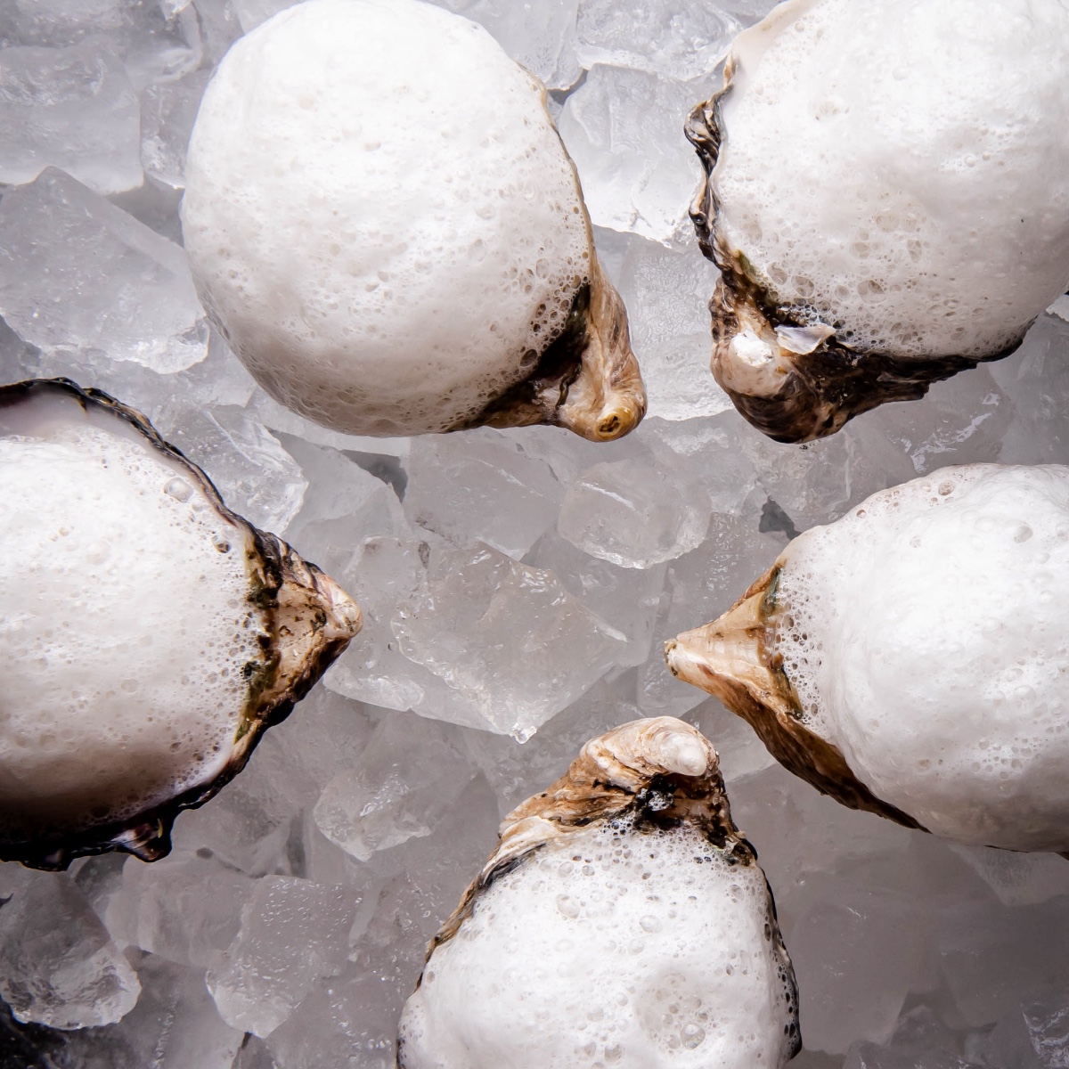 Details of the sea by <a href="/chefjoseandres/">Chef José Andrés 🕊️🥘🍳</a>. Book your experience: fal.cn/3luiL.