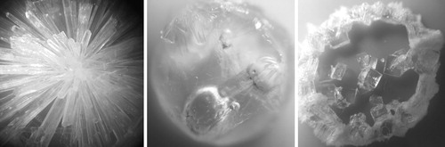 Astrobiology_jn's tweet photo. Bacterial Growth in Brines Formed by the Deliquescence of Salts Relevant to Cold Arid Worlds

Read Now: https://t.co/CrgvKGG1lH
#Astrobiology #Extremophiles #Microbiology https://t.co/w30gwTMjI0