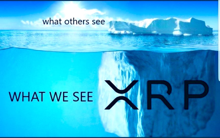 XRPhodler tweet media