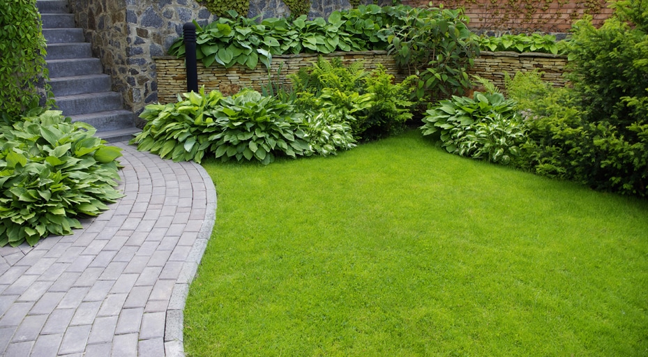 A small lawn can make a dramatic impact when you put in landscaping. You can even make it look bigger by adding a shrub or container plantings as a focal point at the far end. 

#landscaping #gardening #homeimprovement #landscapedesign