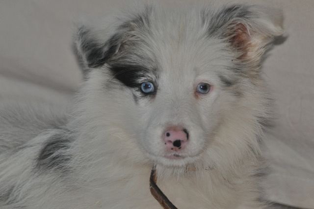 John Crawford 💙 🇺🇦 tweet media