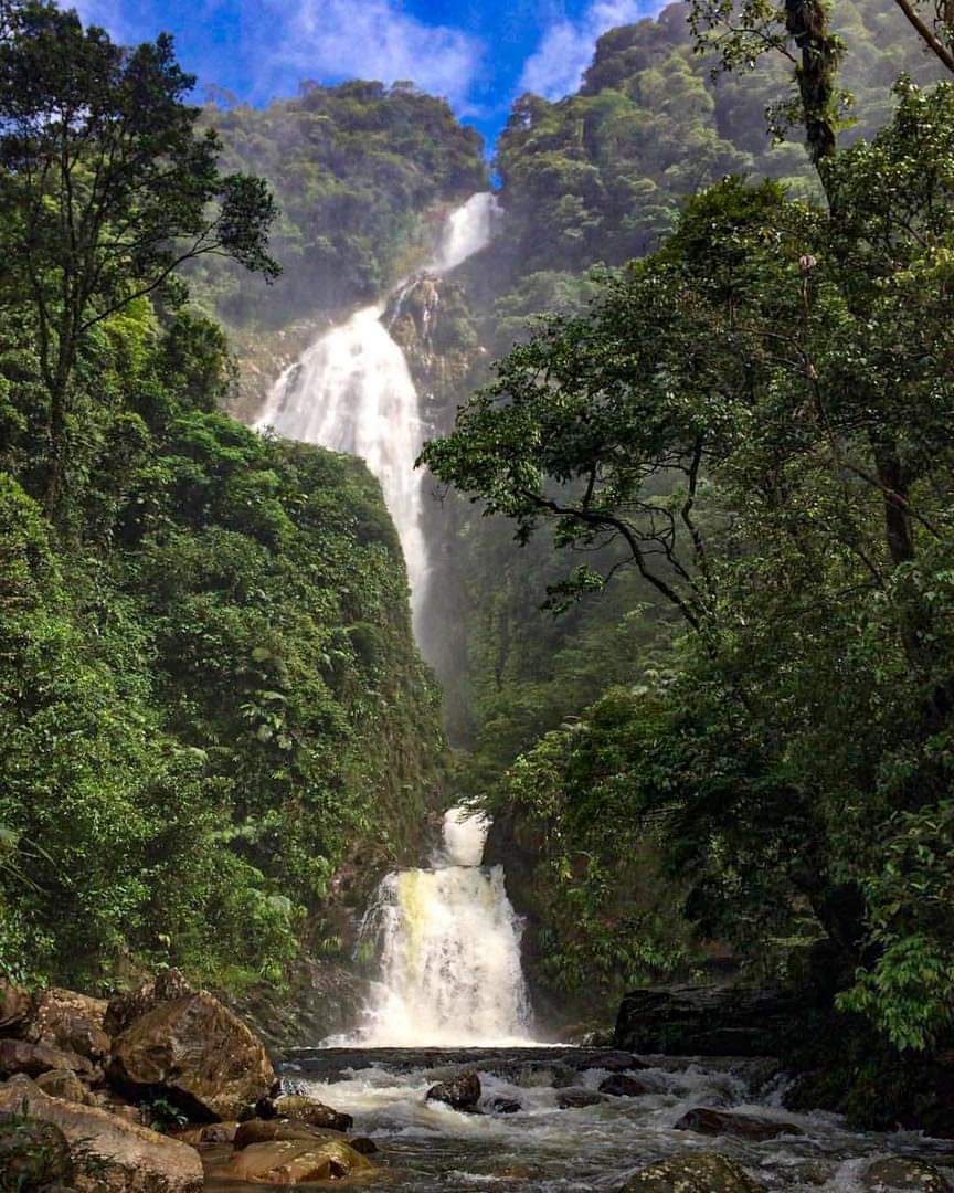 Los Chorros de Sardinata, Vista Hermosa - Meta.
.
.
📸:julianmejia_naturepictures
