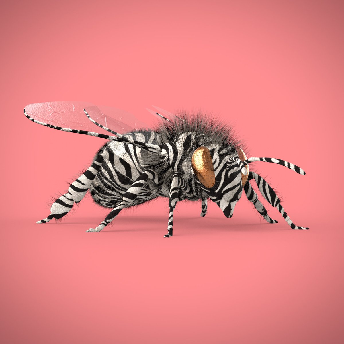 CryptoHive tweet media