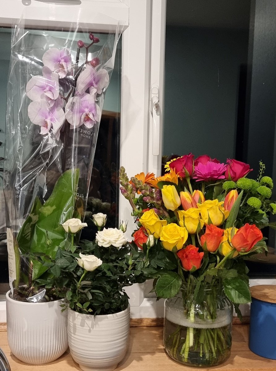 michelle baylis tweet media