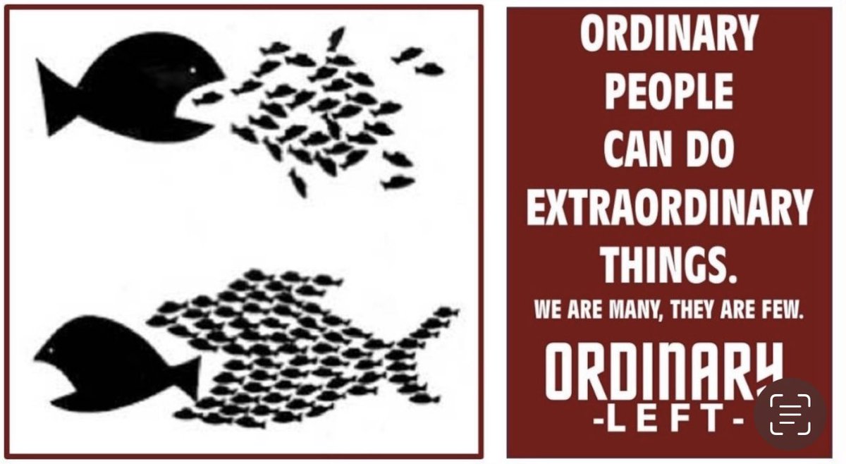 Bath Ordinary Left tweet media