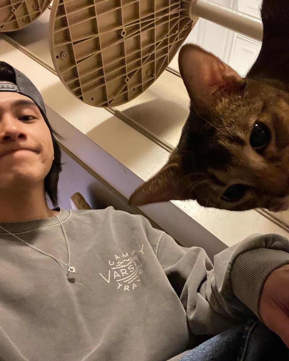 hendythinks's tweet image. 🖤😼