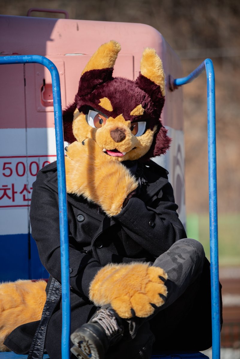 Gomae_0806's tweet photo. Gimyujeong Station
πΈ @Ronic750
#FursuitFriday #fursuit #gomae https://t.co/7pnKVE7iul