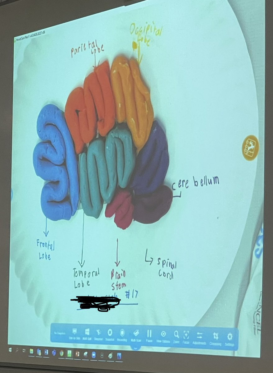 DCrowleyHISD's tweet photo. I am constantly blown away by what young students are able to do when they are in an environment that fosters creativity and choice! Ms. Brannon’s 2nd graders were teaching US during Innovation Hour!! @MYE_Leopards @Malala2nd @fbisdgt @FBISDSupe https://t.co/XADXJ51wCh