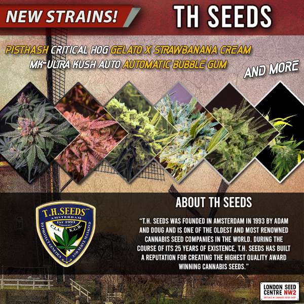 SeedCentre's tweet photo. New strains from #THSeeds.

https://t.co/X2MGTalOXe

#londonseedcentre #cannabisseeds #cannabis #weedstagram https://t.co/mMx3VvXNiX