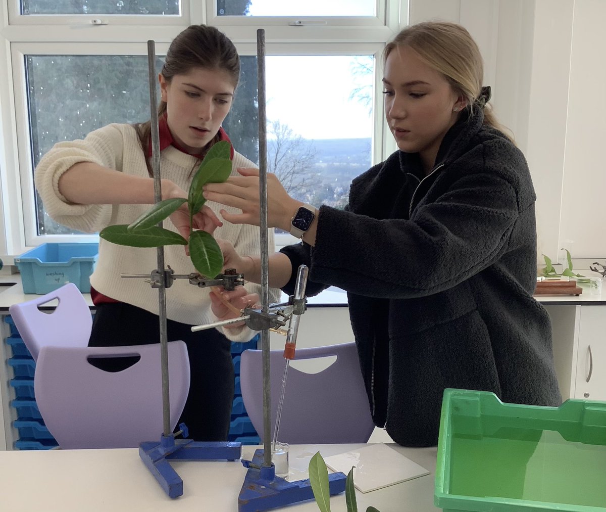 Dunottar Science tweet media