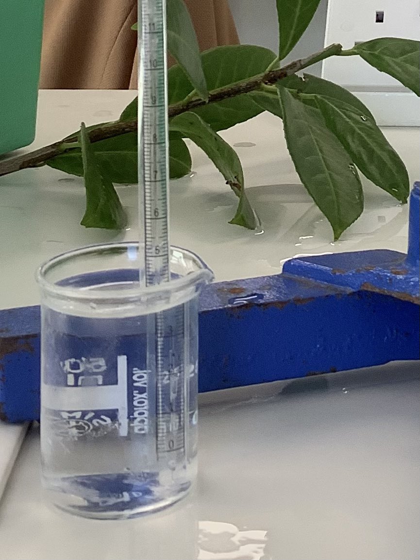 Dunottar Science tweet media