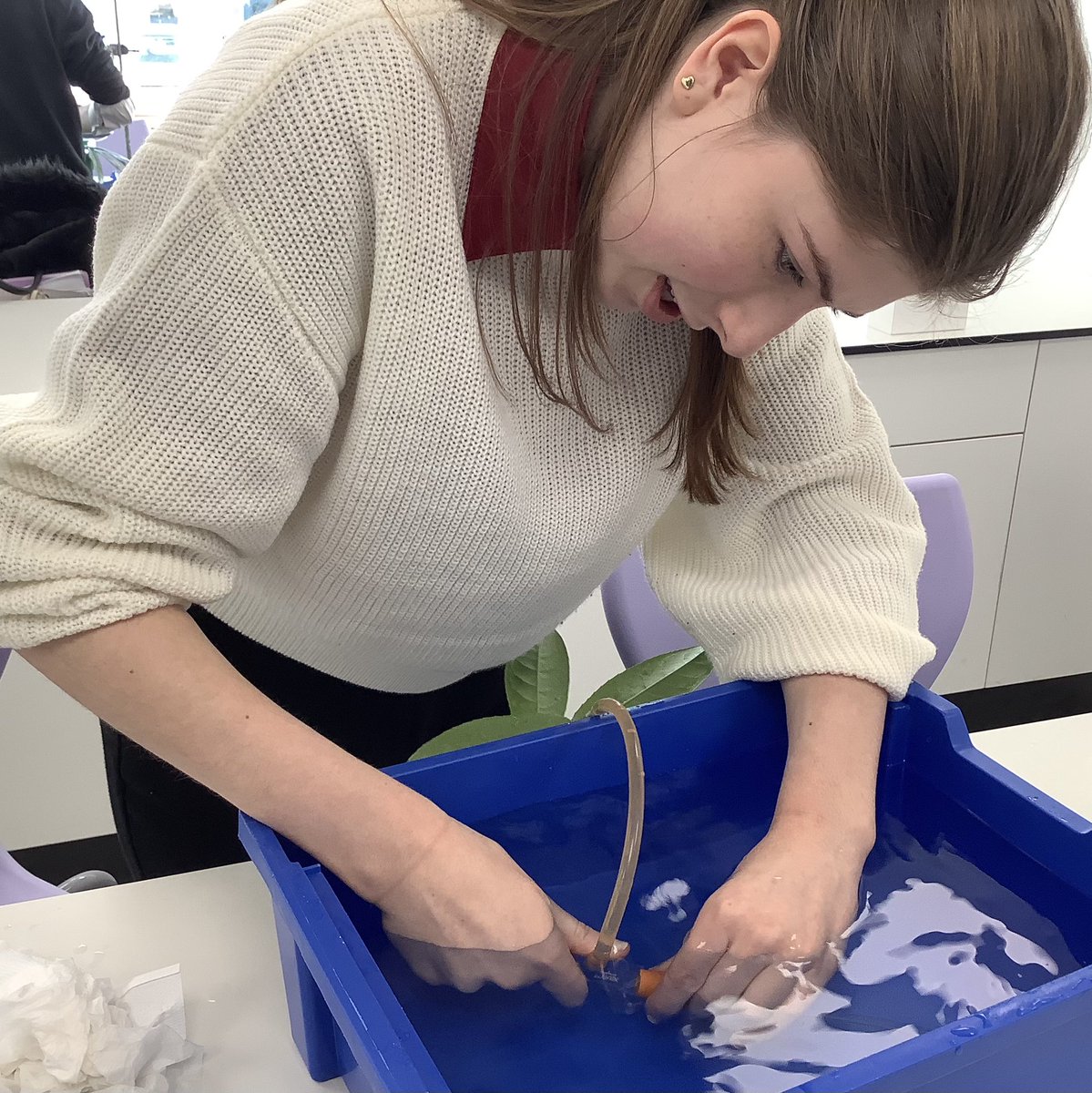 Dunottar Science tweet media