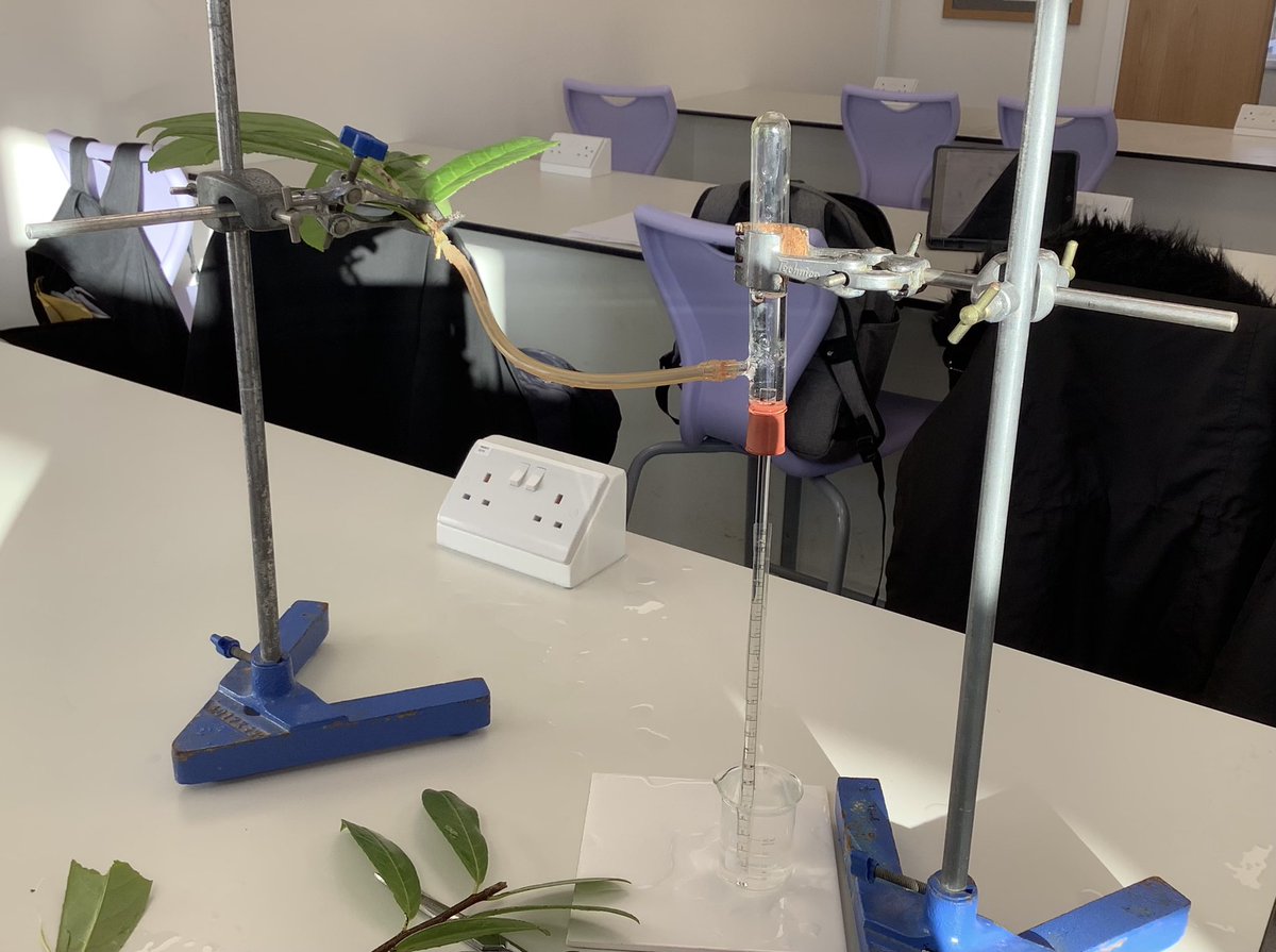 Dunottar Science tweet media