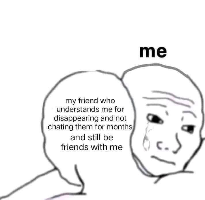 WholesomeMeme's tweet photo. https://t.co/82qQc3gPMj