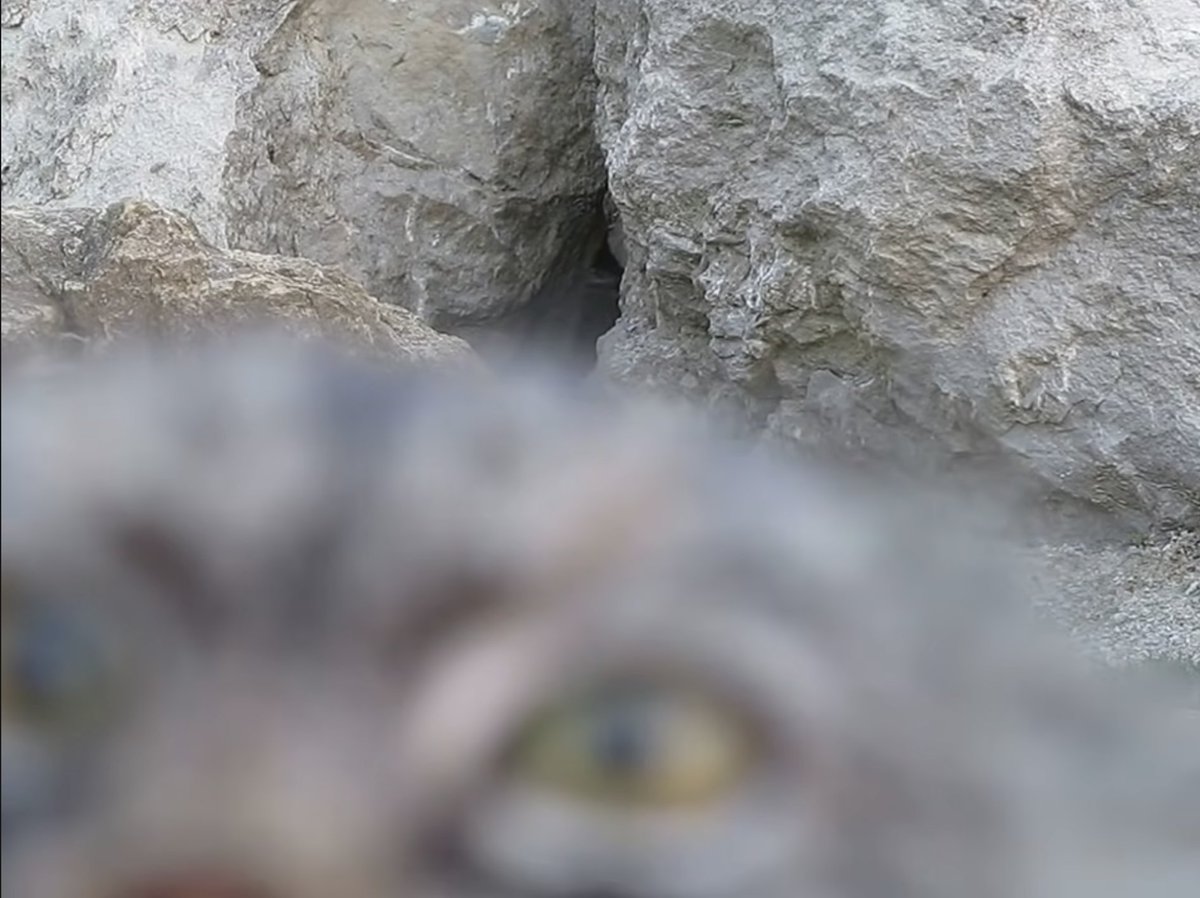 Outside Xtra tweet media