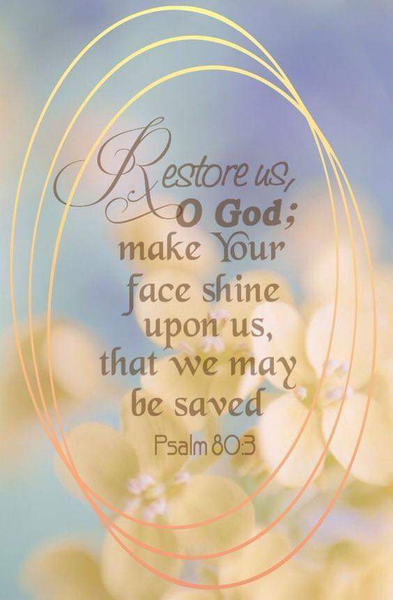Turn us again, O God, and cause your face to shine; and we shall be saved. Ps.80:3.
