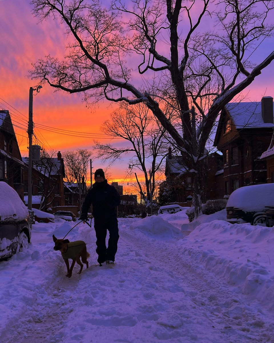 Lindsay Aranoff tweet media