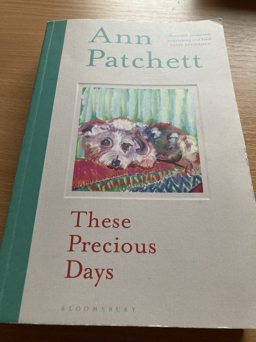 EditorGrainneT's tweet photo. Perfection in an essay? The title essay in this #annpatchett book is one of the most moving pieces I’ve read. #ThesePreciousDays https://t.co/dEFL6YIcXO