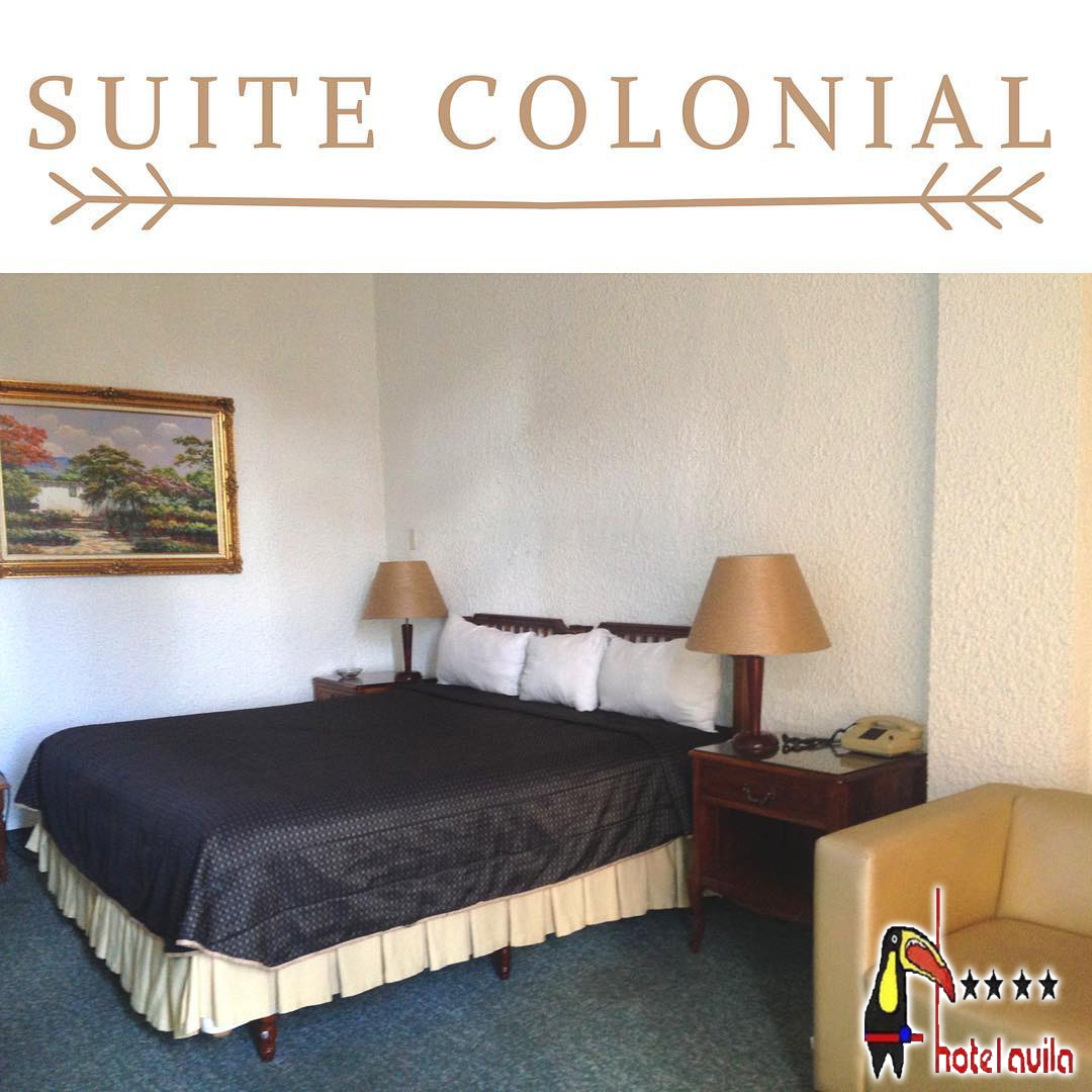 TuHotelAvila's tweet photo. Ven a disfrutar de toda la paz y la tranquilidad que te ofrece este maravilloso ambiente de montaña donde logras un relax total.
https://t.co/SQLSs3IAmK

#tuhotelavila #turismo #4estrellas #hotel #huesped #habitaciones #lujo https://t.co/rNNz0dEwEx