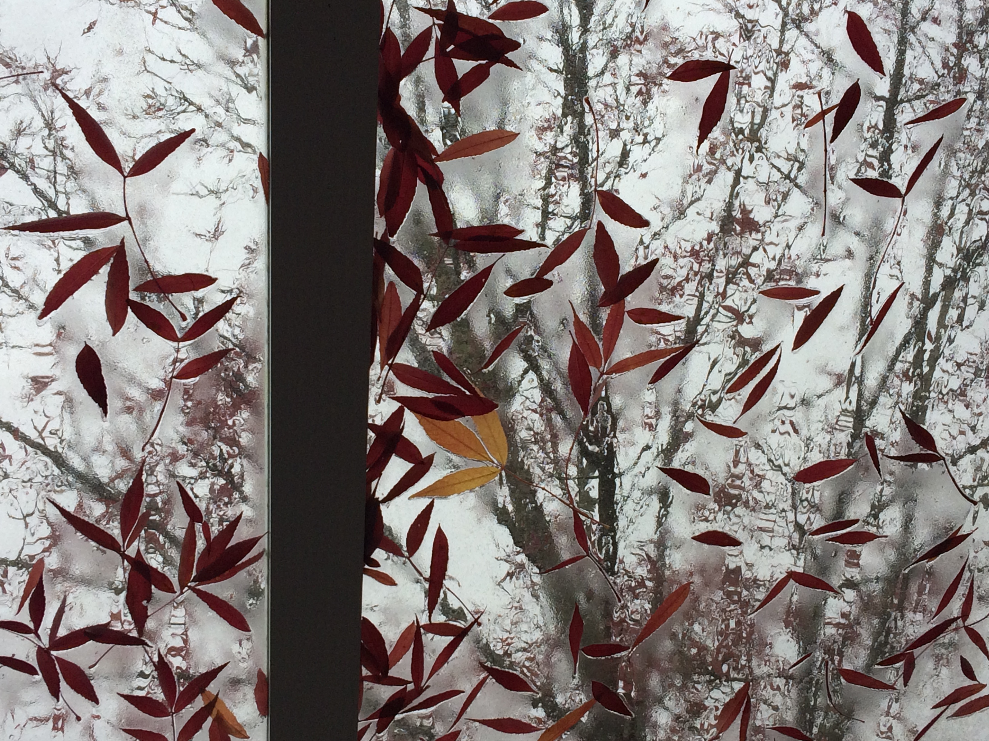 Lieferbar wieder wann gynatren ist