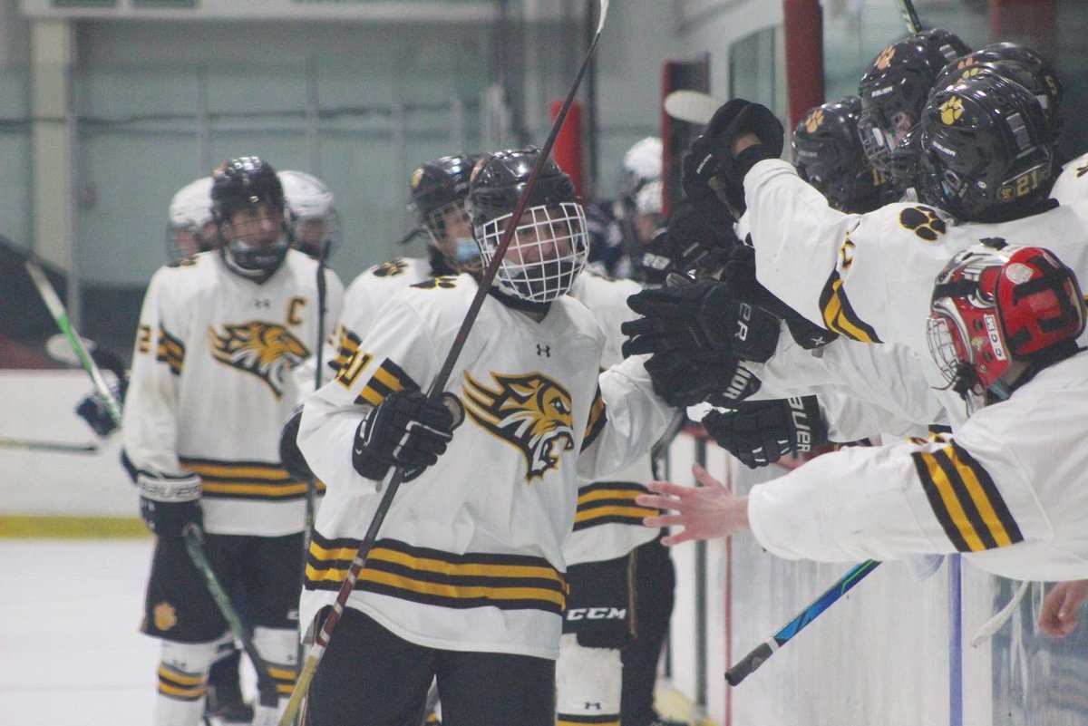 ski.graphics tweet media