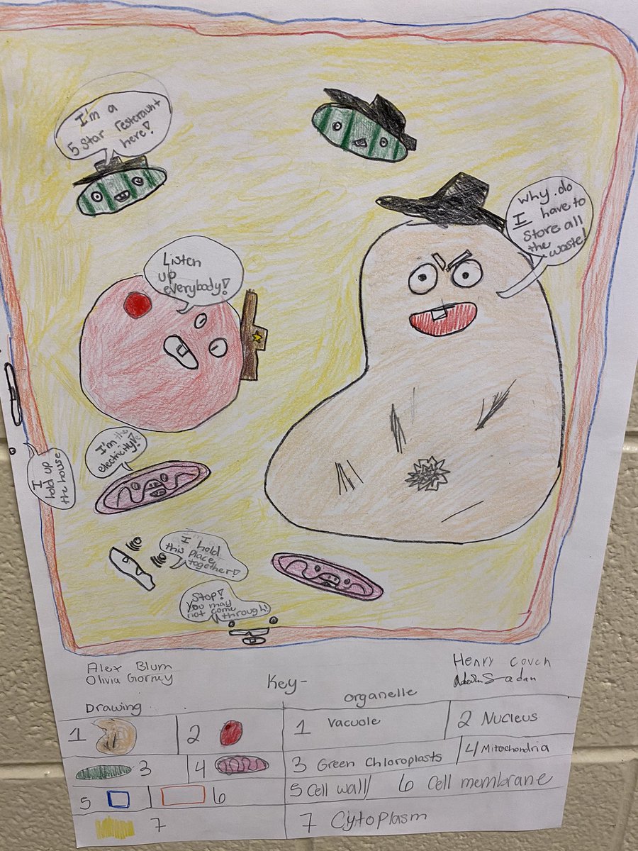 Rosa5thGrade's tweet photo. If Organelles Could Talk... These kids loved this activity! @trwolfpack https://t.co/A5aiMwjDfe