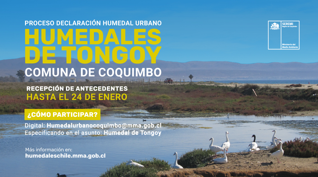 MMACoquimbo's tweet image. Recuerda❗️Hasta el 24 de enero recibiremos los antecedentes complementarios para la declaración de #HumedalUrbano Humedales de Tongoy 

Envía tu aporte al correo electrónico
humedalurbanocoquimbo@mma.gob.cl especificando en el asunto “Humedal de Tongoy”

 humedaleschile.mma.gob.cl