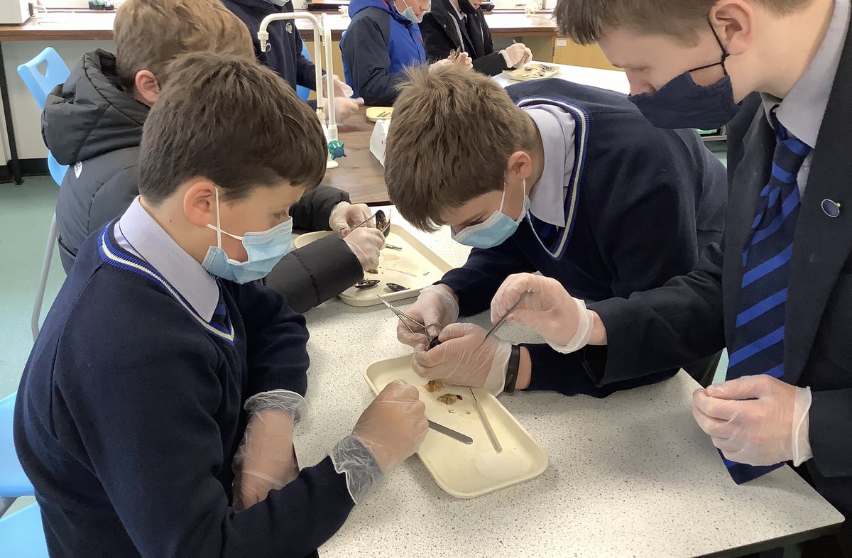 Dunottar Science tweet media