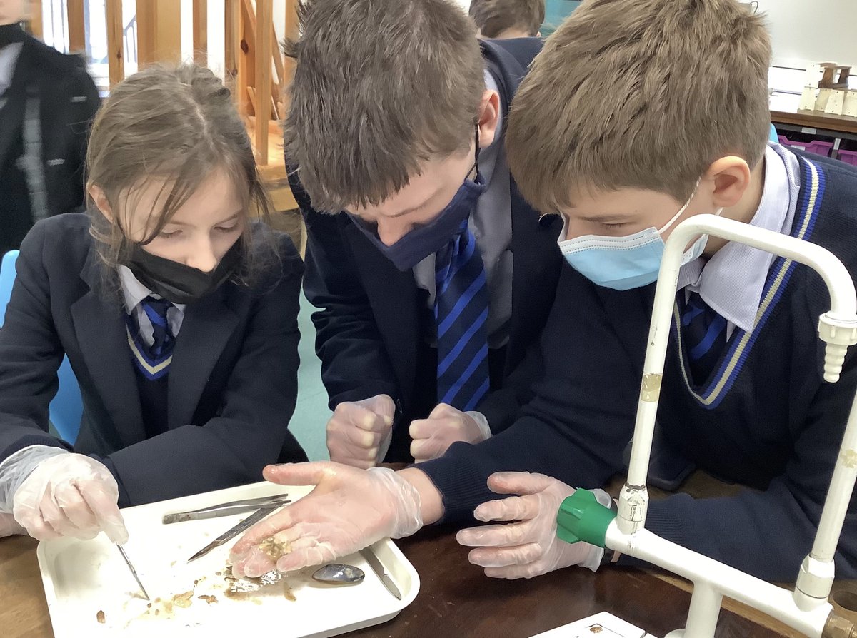 Dunottar Science tweet media